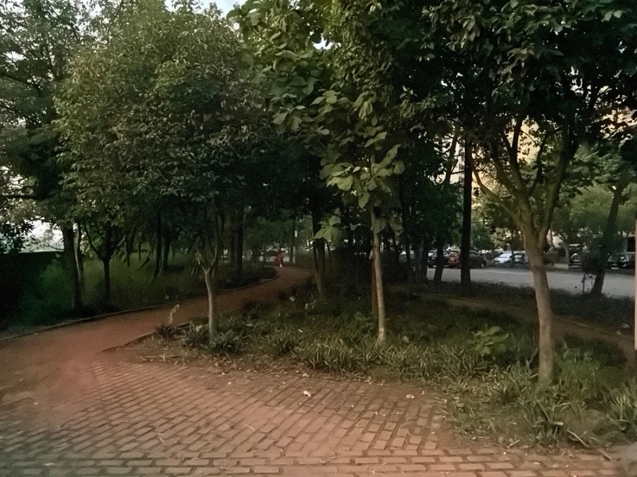 d4e3d7d364ae3540c53d