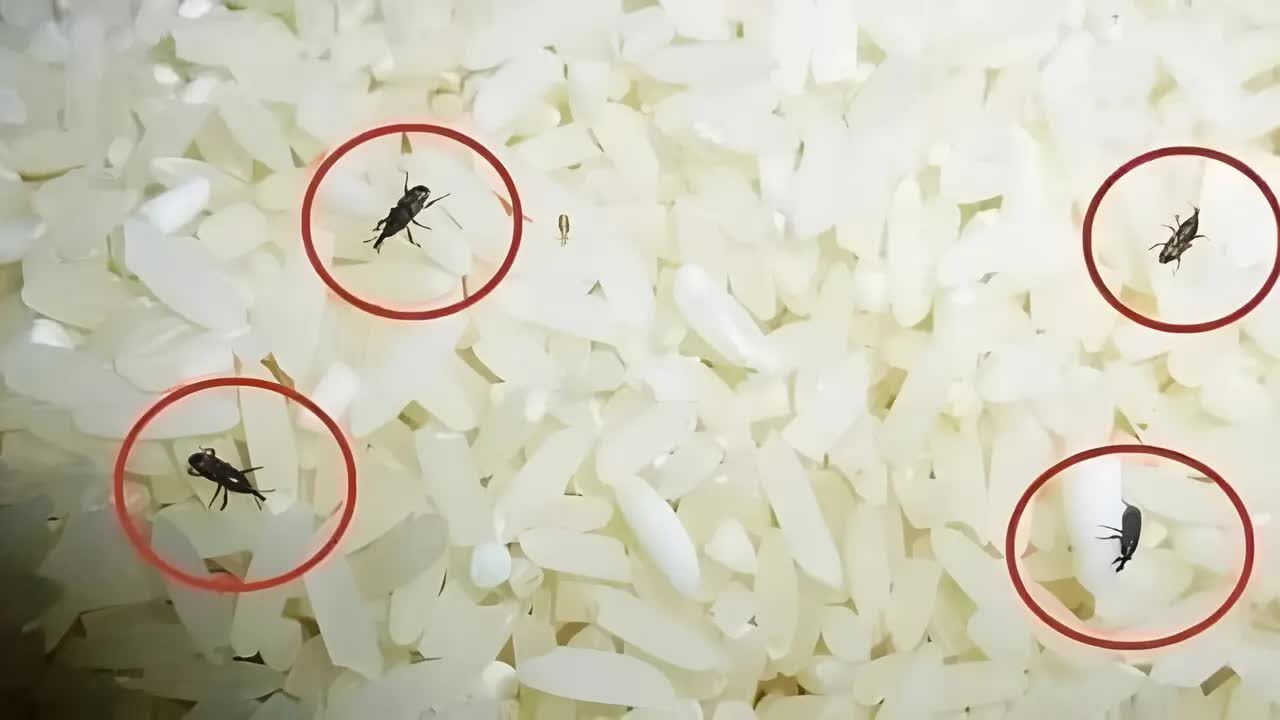 3 (2)