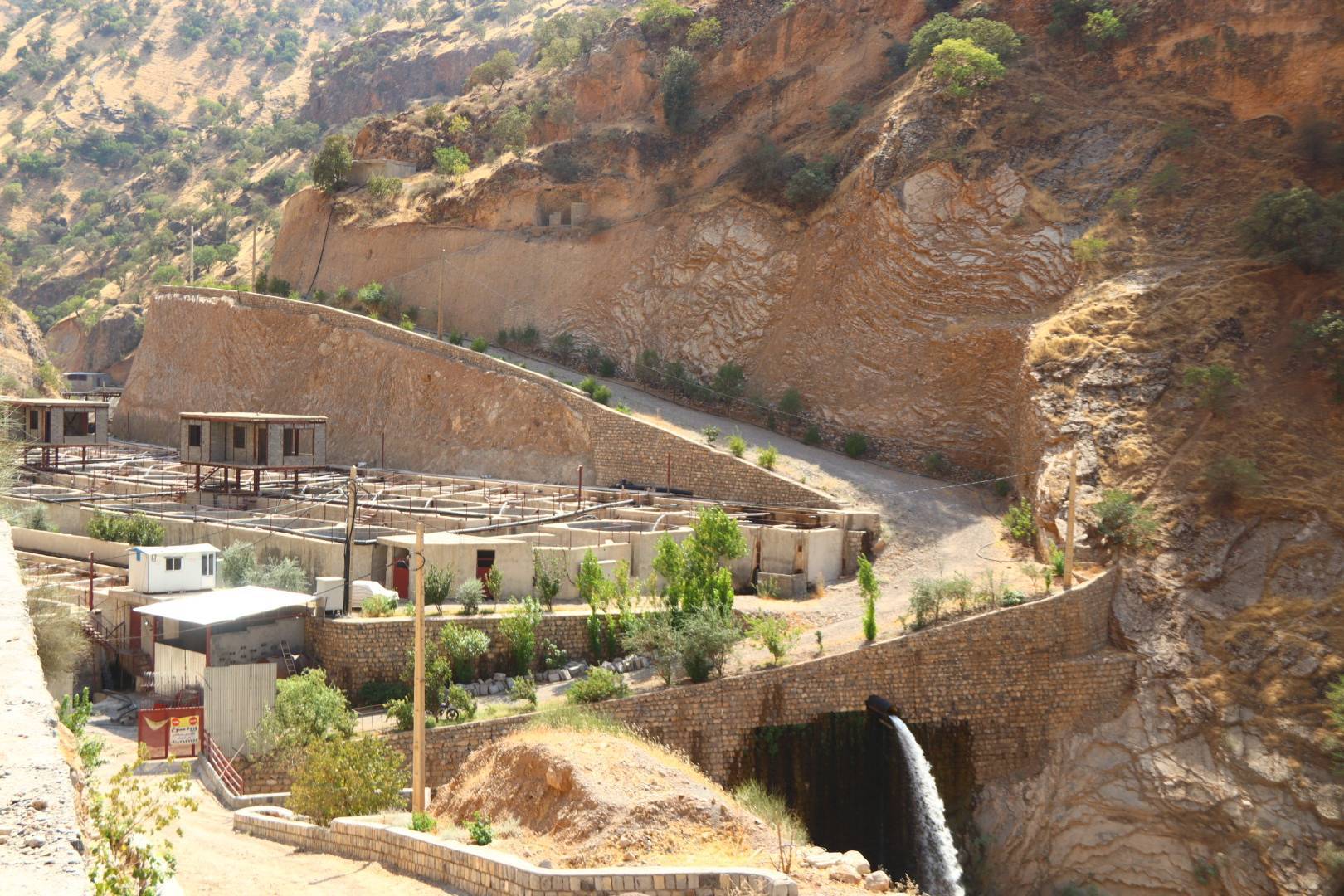 بانک توسعه تعاون