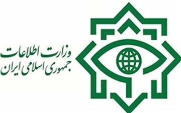 عوامل یک تیم تروریستی قبل از هرگونه اقدام دستگیر شدند 