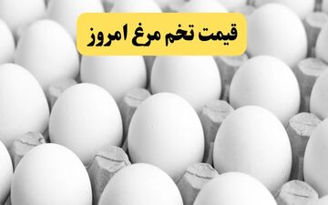 قیمت روز تخم‌مرغ در تهران | نرخ هر دانه و شانه ۱۰ شهریور ۱۴۰۴