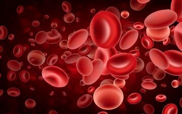 تالاسمی یکی از شایع ترین اختلال ها و بیماری های خونی است