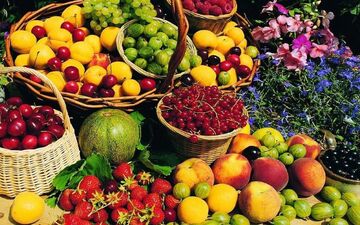 7 خوراکی مغذی برای درمان 7 نوع بیماری

