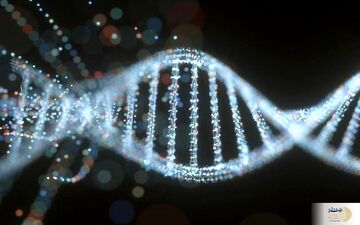 تحولی عظیم در ذخیره سازی اطلاعات روی مولکول‌های DNA

