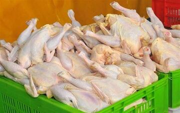 افزایش باور نکردنی قیمت مرغ / صف های دوباره مرغ در راه است؟
