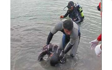 اسامی ۱۴گردشگر نجات در حادثه دزفول / 6 گردشگر هنوز پیدا نشده اند + عکس 