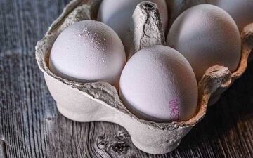 عرضه فله‌ای و خارج از یخچال تخم مرغ ممنوع می‌شود
