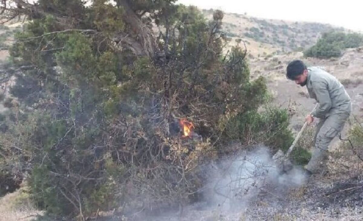 آتش‌سوزی در منطقه حفاظت‌شده آق‌داغ خلخال مهار شد
