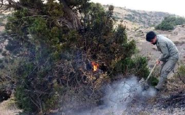 آتش‌سوزی در منطقه حفاظت‌شده آق‌داغ خلخال مهار شد
