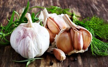 سیر؛ معجزه ای برای لاغری