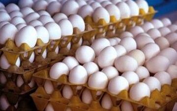 قیمت تخم مرغ در میادین تره‌بار تهران