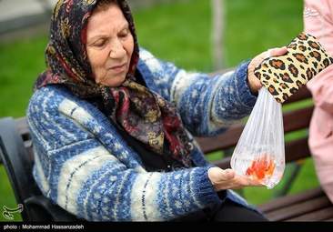 روز طبیعت در پارک ملت تهران + تصاویر