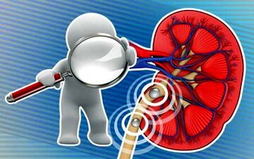  رعایت این نکات برای سلامتی کلیه ها ضروری است