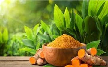 آیا زردچوبه برای کبد مفید هست یا مضر؟