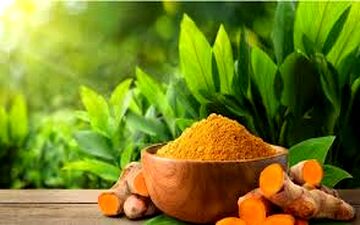 آیا زردچوبه برای کبد مفید هست یا مضر؟