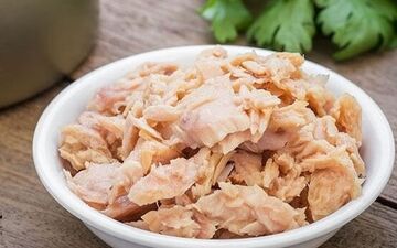 آیا خوردن روزانه ماهی تُن بی‌خطر است؟