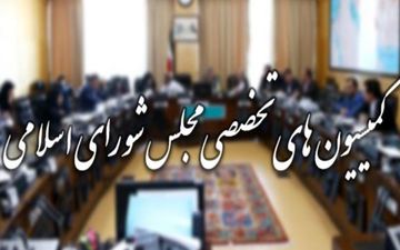 کدام نمایندگان نسبت به جانمایی خود در کمیسیون‌های تخصصی مجلس اعتراض کردند؟
