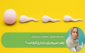  برای بارداری چقدر اسپرم لازم است؟

