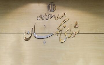 طرح تشکیل وزارت بازرگانی در شورای نگهبان رد شد
