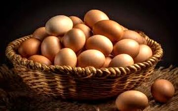 طرز نگهداری صحیح  تخم مرغ | حتما بخوانید