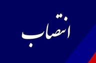 حسن محمدی به هیئت‌مدیره هلدینگ فنحاب منصوب شد