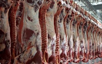 
جلوگیری از عرضه گوشت قرمز به صورت لاشه
