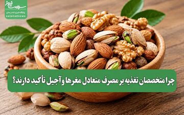 چرا آجیل و مغزها بخشی ضروری از رژیم غذایی هستند؟