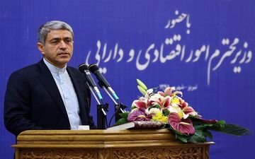 طیب‌نیا: مردم وارد اقتصاد شوند، توفیق پیدا خواهیم کرد 