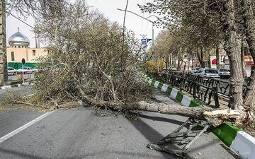  هواشناسی هشدار داد: وزش "باد شدید" در نیمه شرقی کشور