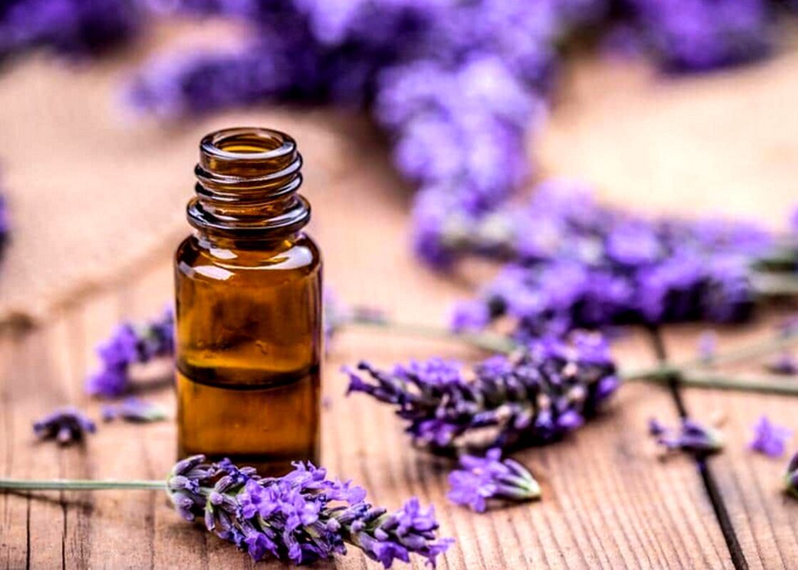 روغن استوخودوس
