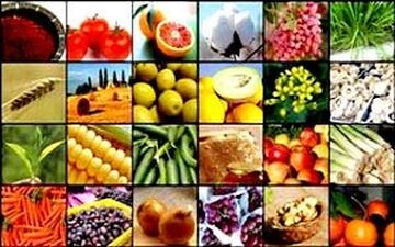 وعده هایی که عملی شدنشان باعث رونق کشاورزی می شود + فیلم