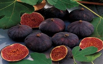  میوه‌ای که همچون داروخانه‌ای طبیعی عمل می‌کند + اینفوگرافی