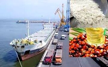 افزایش واردات روغن پالم/ وقتی سلامت مردم قربانی تصمیمات دیگر می‌شود