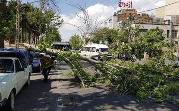 هشدار وزش بادهای شدید در ۱۱ استان
