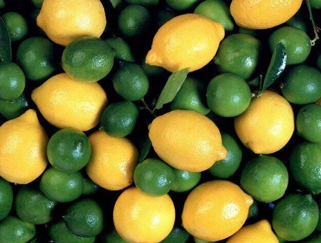 لیمو عمانی خانگی: طعم‌دهنده‌ای اصیل برای سفره ایرانی