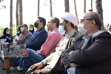 روزجهانی چوب 