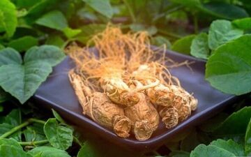 با این راه حل طبیعی همیشه فول تمرکز باشید