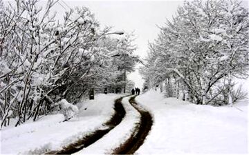 آغاز برف و باران در نقاط غربی کشور