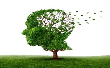 جلوگیری از ابتلا به از آلزایمر با راهکار‌هایی ساده 