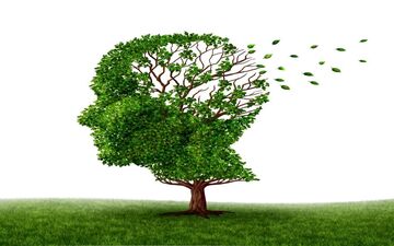 جلوگیری از ابتلا به از آلزایمر با راهکار‌هایی ساده 