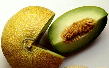 خواص فوق العاده درمانی خربزه