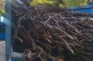 توقف نیسانِ مرگ در زاگرس؛ کشف ۳ تن چوب بلوط قاچاق در اسلام‌آبادغرب