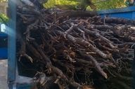 توقف نیسانِ مرگ در زاگرس؛ کشف ۳ تن چوب بلوط قاچاق در اسلام‌آبادغرب