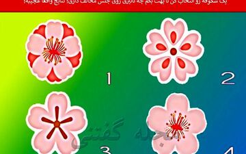 یک شکوفه رو  انتخاب کن تا بهت بگم چه تاثیری روی جنس مخالف داری!