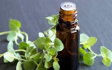 روغن آویشن چیست و چه کاربردی دارد؟
