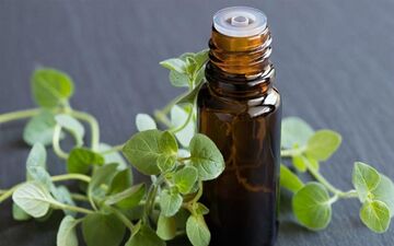 گیاه آویشن این ویروس های خطرناک را از شما دور می‌کند
