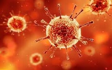 تازه ترین گزارش سازمان جهانی بهداشت از وضعیت همه گیری کرونا در جهان