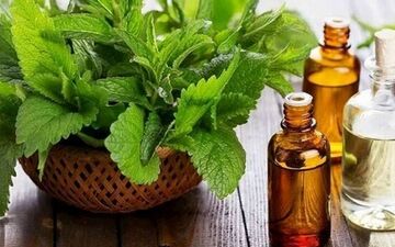  این افراد عرق نعنا مصرف نکنند