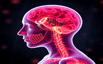 آیا زنانی که سیستم ایمنی  آنها ضعیف است باردار نمی شوند؟