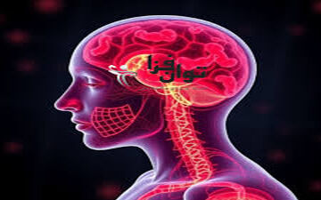 آیا زنانی که سیستم ایمنی  آنها ضعیف است باردار نمی شوند؟